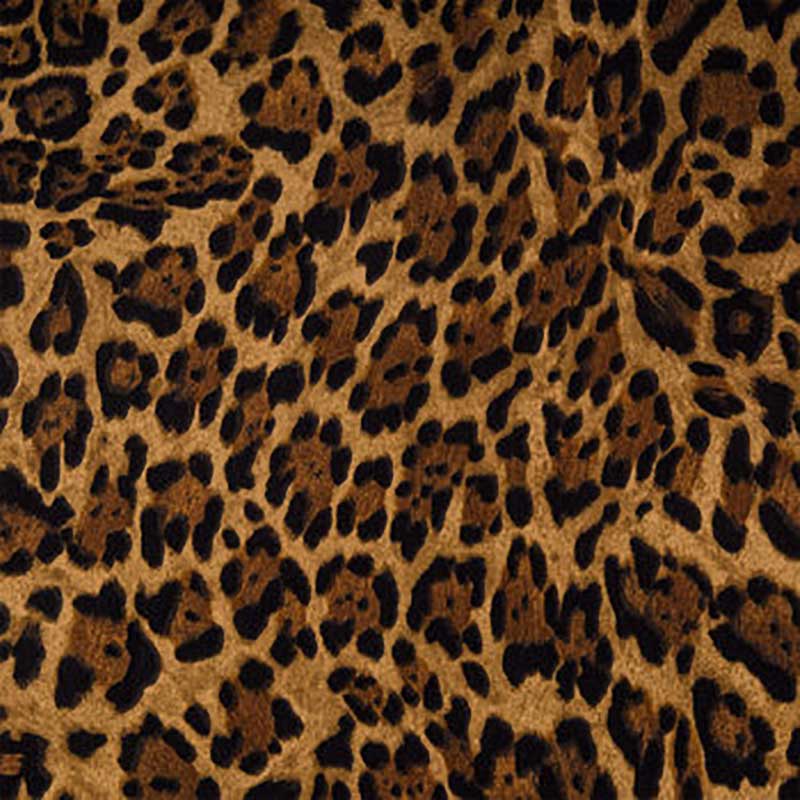 copper light brown background with black and darker brown spots (cheetah print)