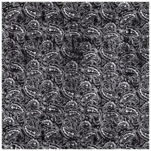 Black and white paisley