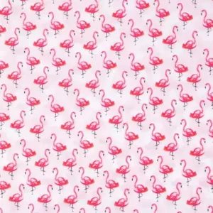 Flamingos