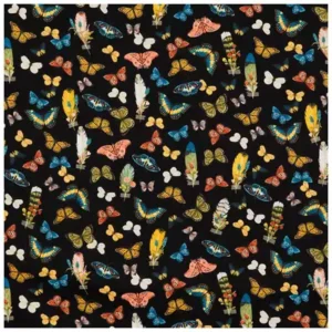 Multicolored butterflies on black